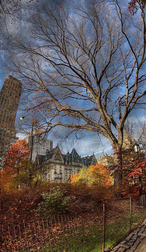 Central Park, New York City, USA